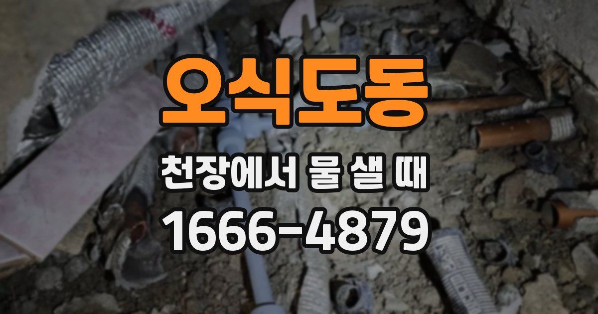 오식도동 천장에서 물 샐 때