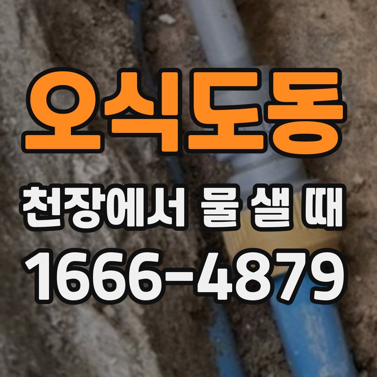 오식도동 천장에서 물 샐 때