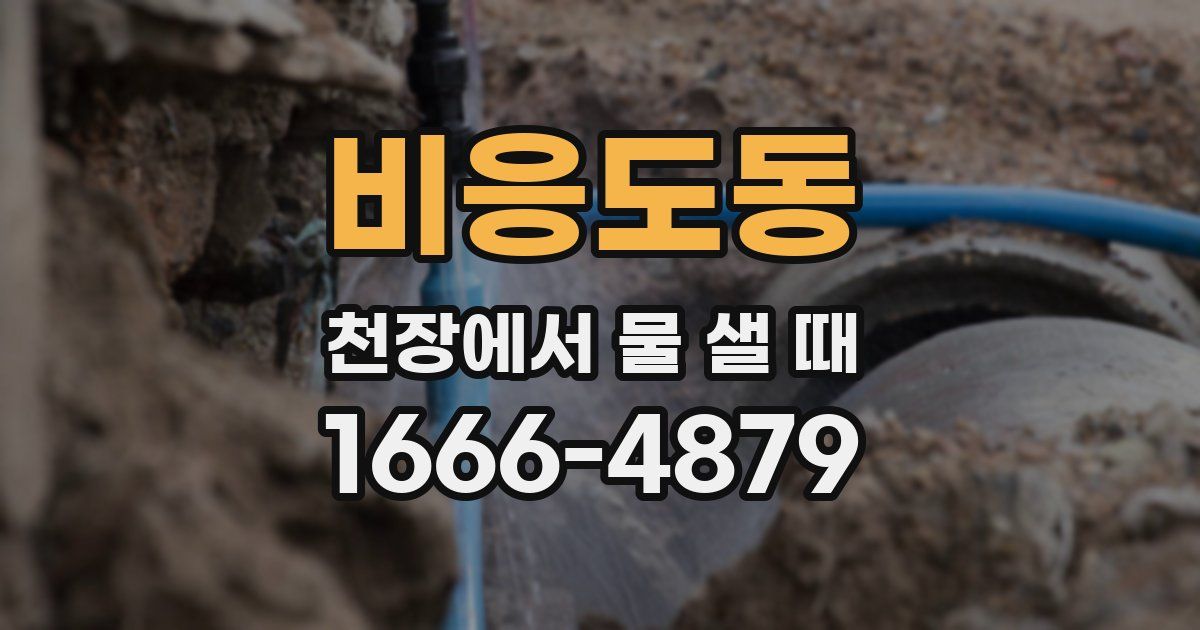 비응도동 천장에서 물 샐 때