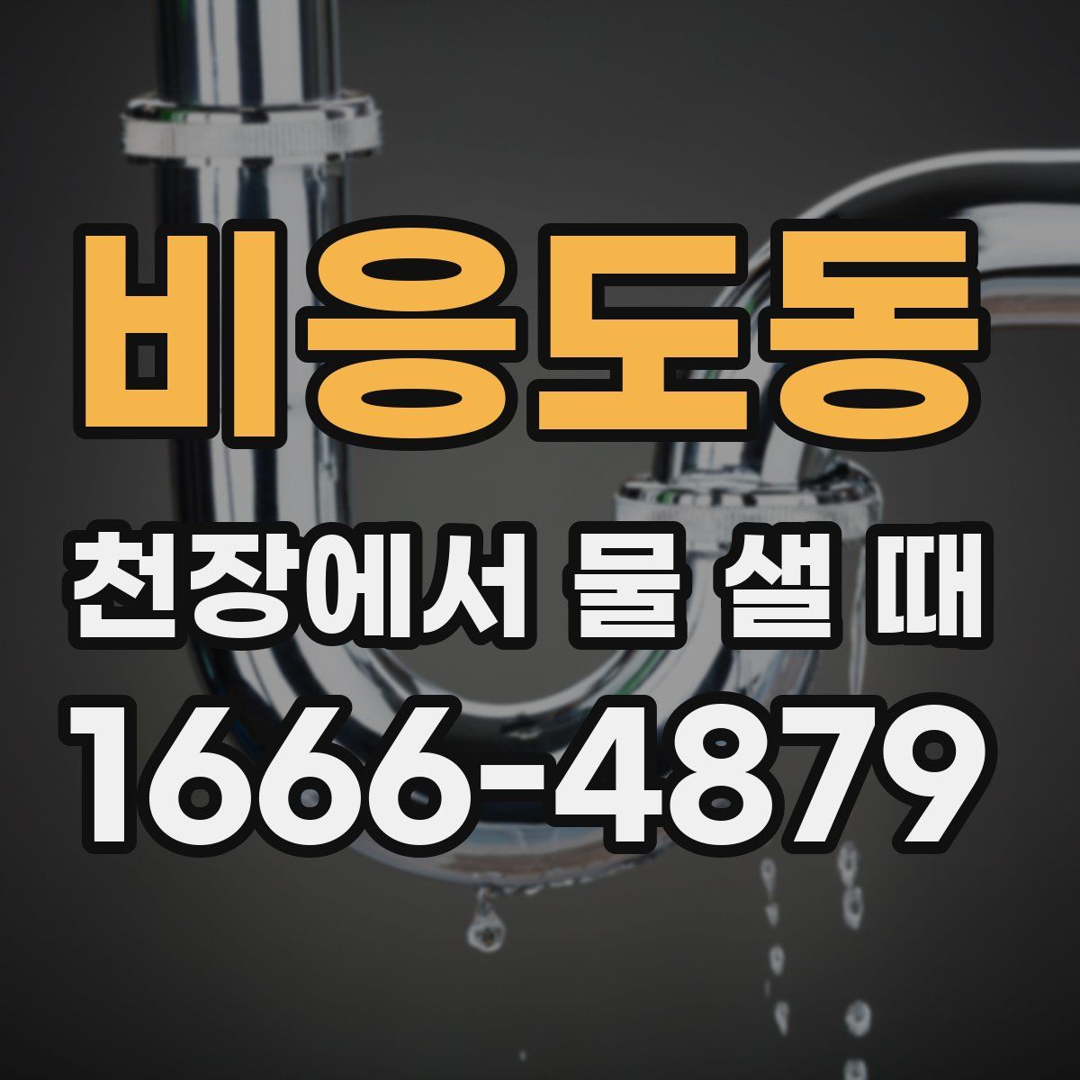 비응도동 천장에서 물 샐 때