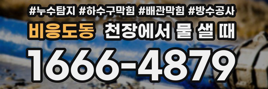 비응도동 천장에서 물 샐 때