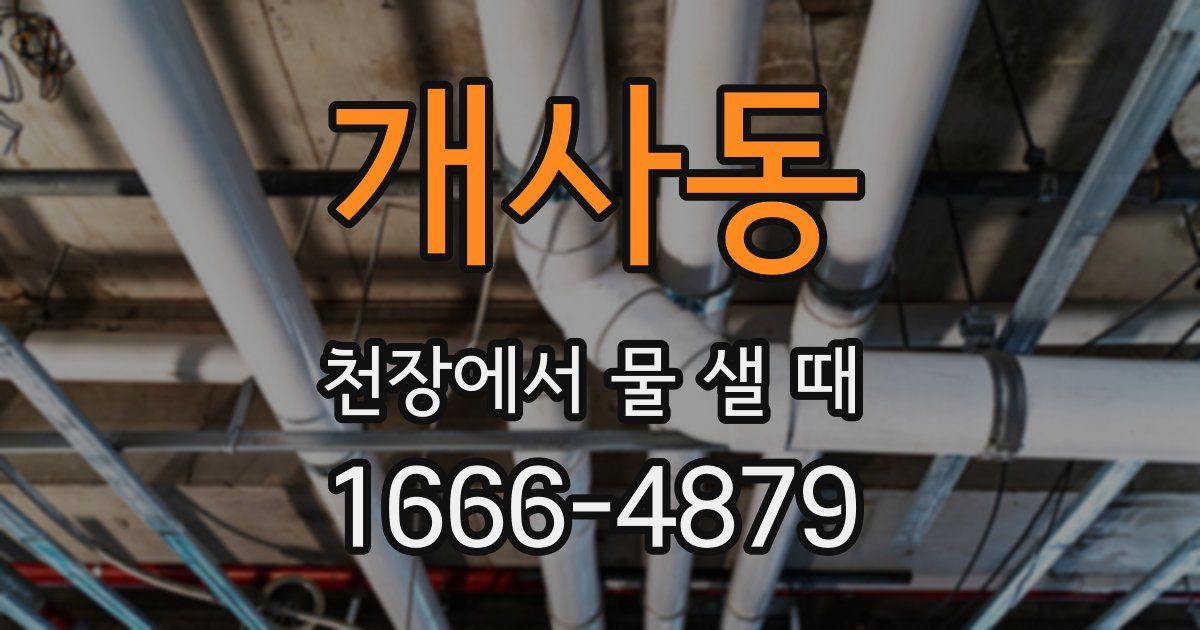 개사동 천장에서 물 샐 때
