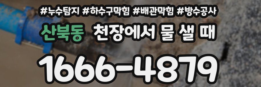 산북동 천장에서 물 샐 때