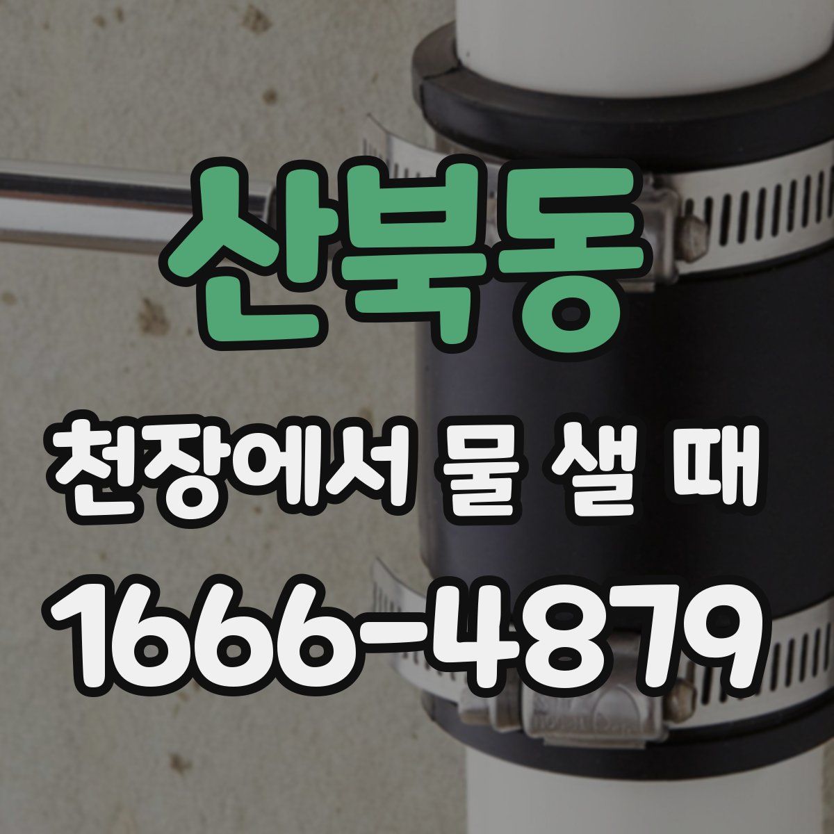 산북동 천장에서 물 샐 때