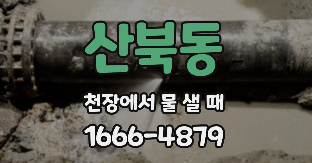 산북동 천장에서 물 샐 때