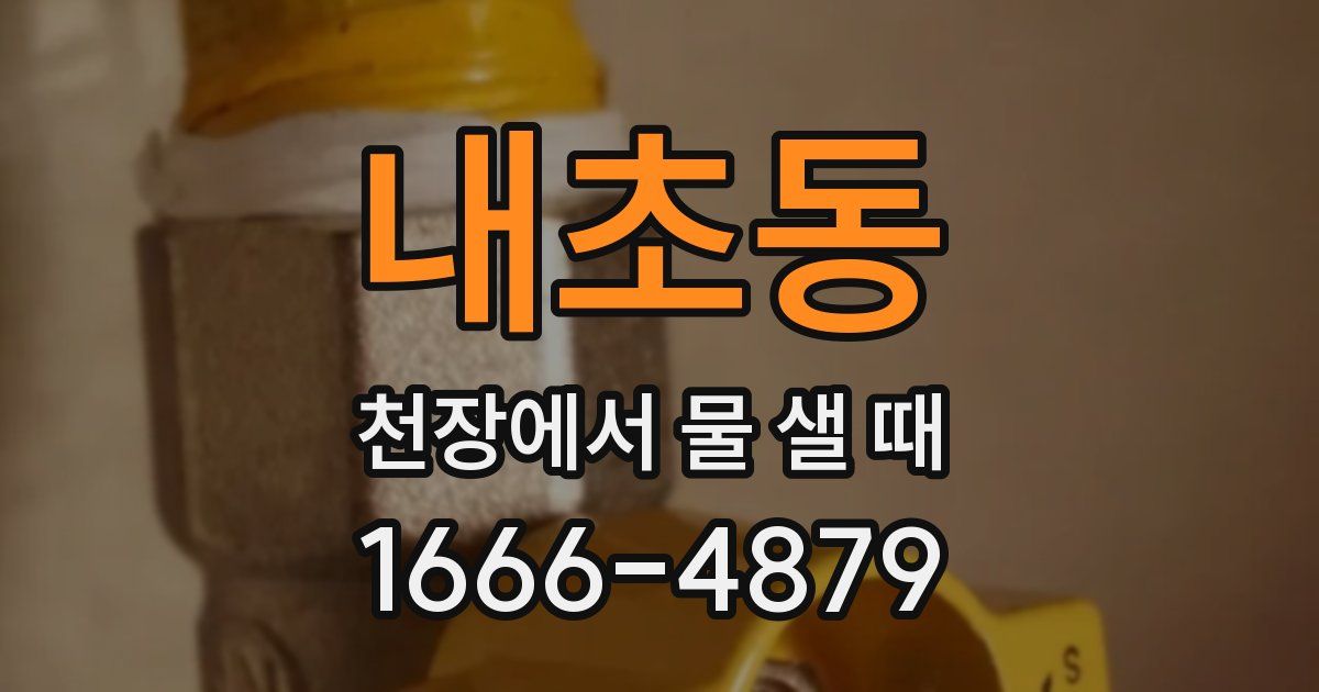 내초동 천장에서 물 샐 때