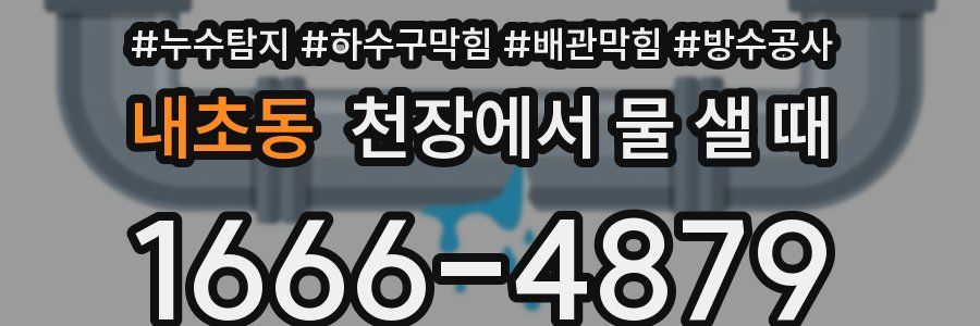 내초동 천장에서 물 샐 때