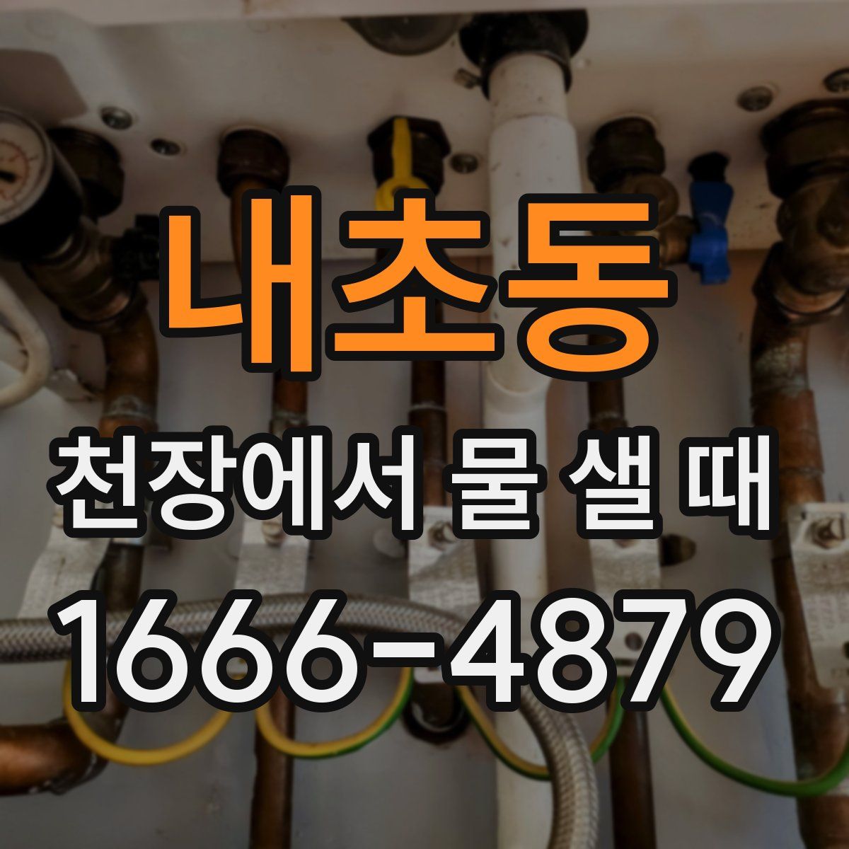 내초동 천장에서 물 샐 때