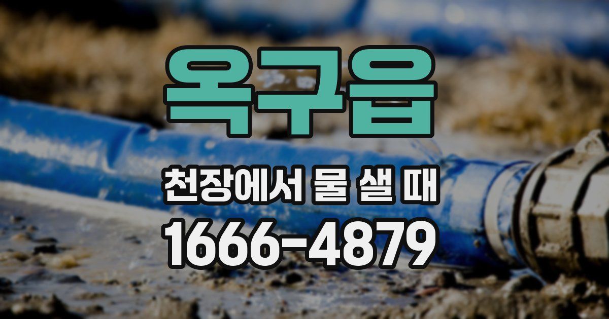 옥구읍 천장에서 물 샐 때