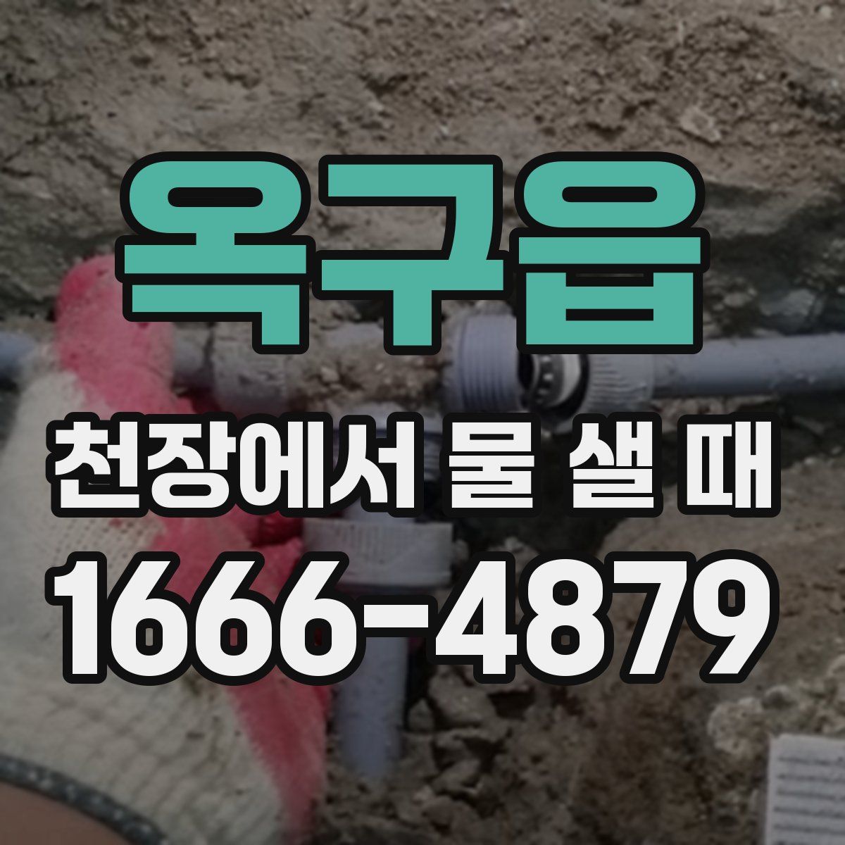 옥구읍 천장에서 물 샐 때