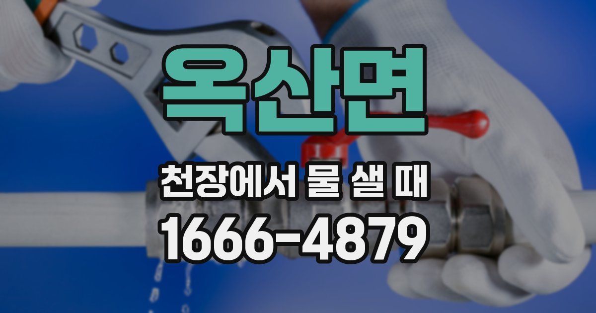 옥산면 천장에서 물 샐 때