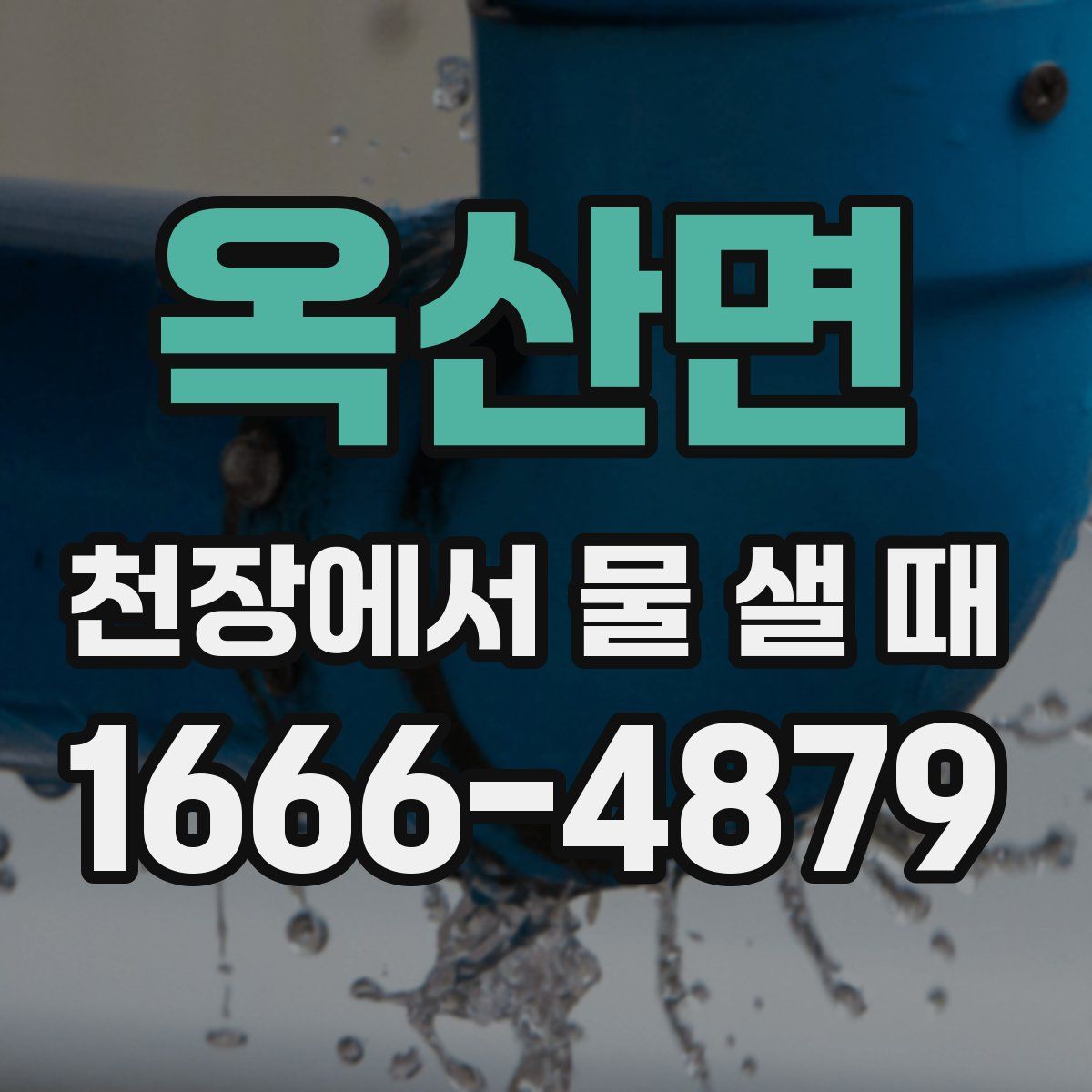 옥산면 천장에서 물 샐 때
