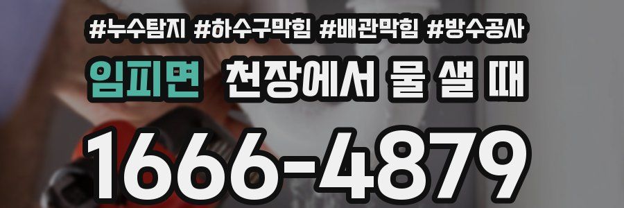 임피면 천장에서 물 샐 때