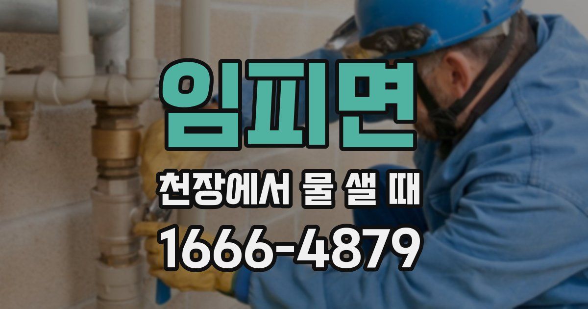 임피면 천장에서 물 샐 때