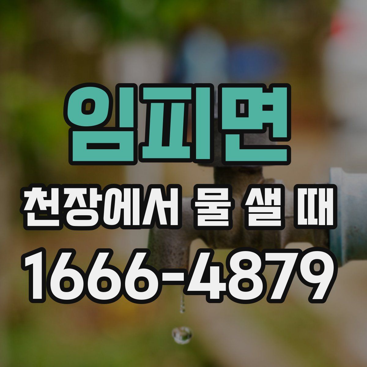 임피면 천장에서 물 샐 때