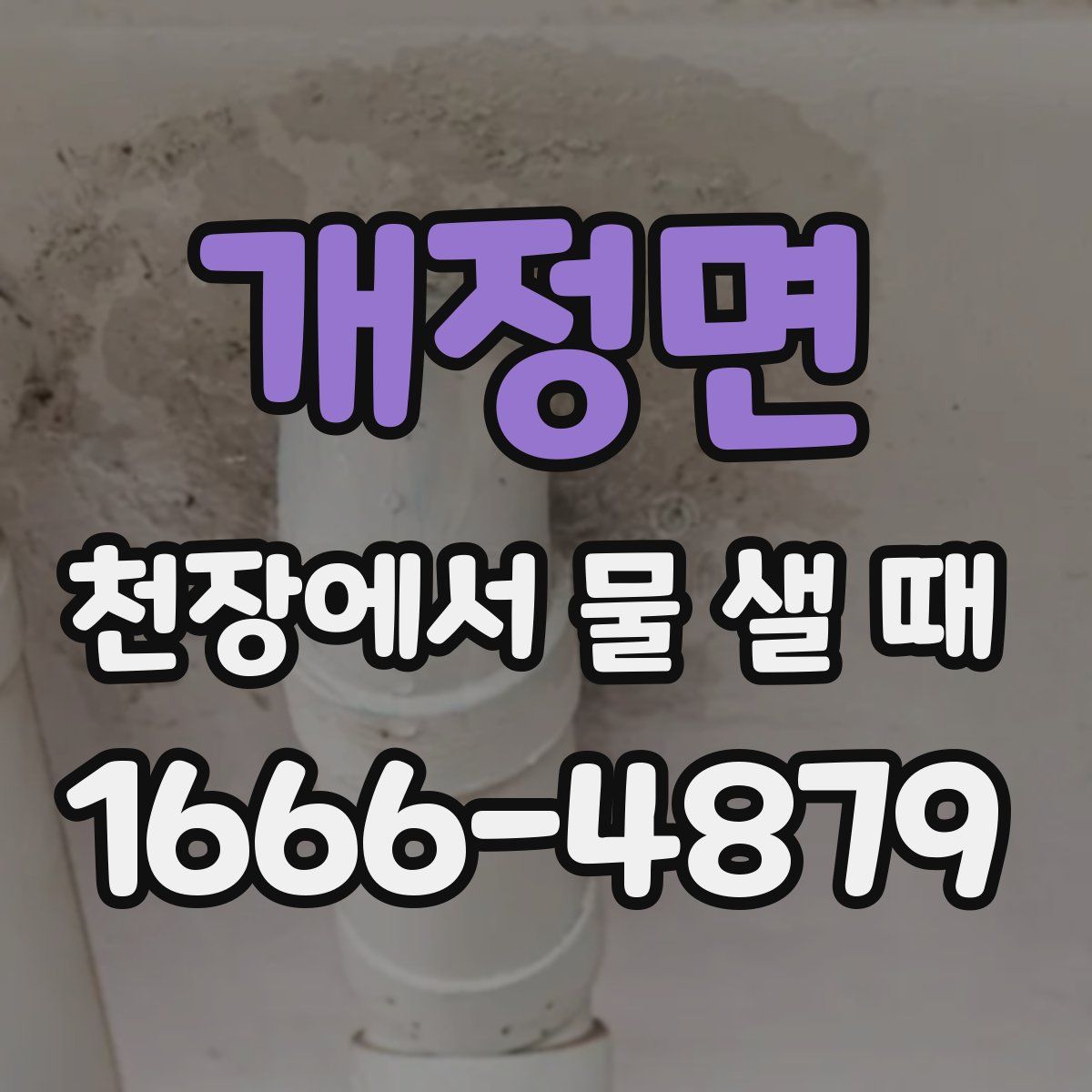 개정면 천장에서 물 샐 때