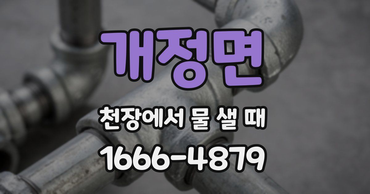 개정면 천장에서 물 샐 때