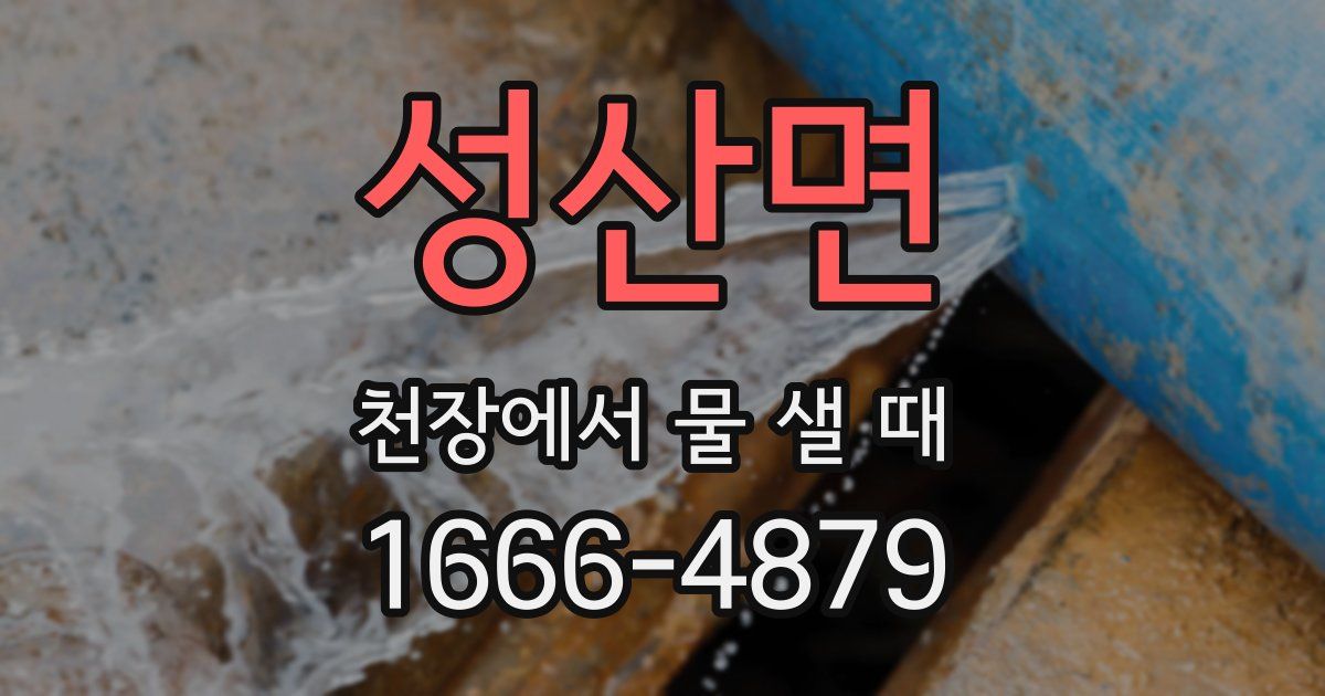 성산면 천장에서 물 샐 때