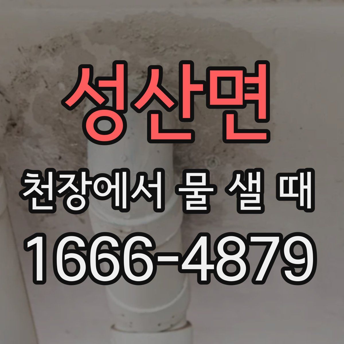 성산면 천장에서 물 샐 때