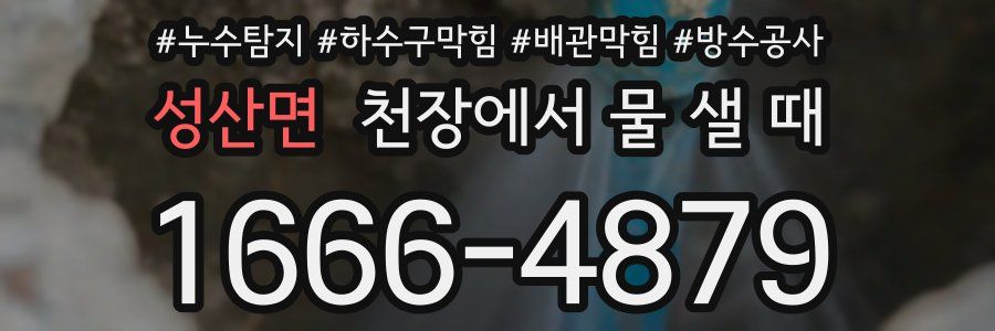 성산면 천장에서 물 샐 때