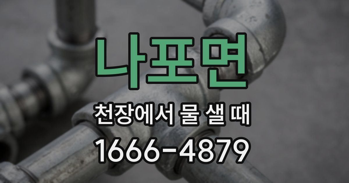 나포면 천장에서 물 샐 때
