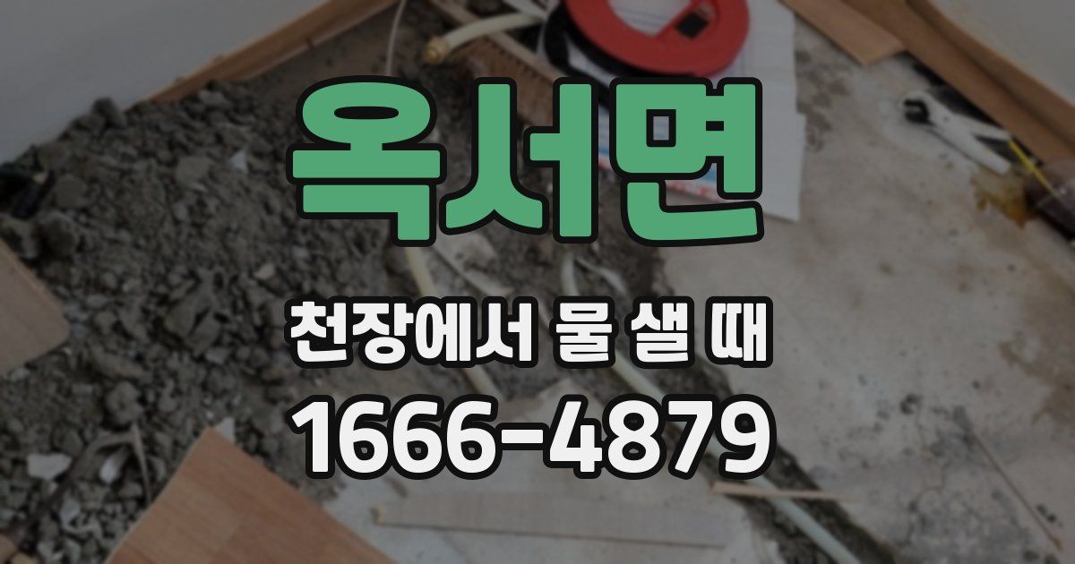 옥서면 천장에서 물 샐 때