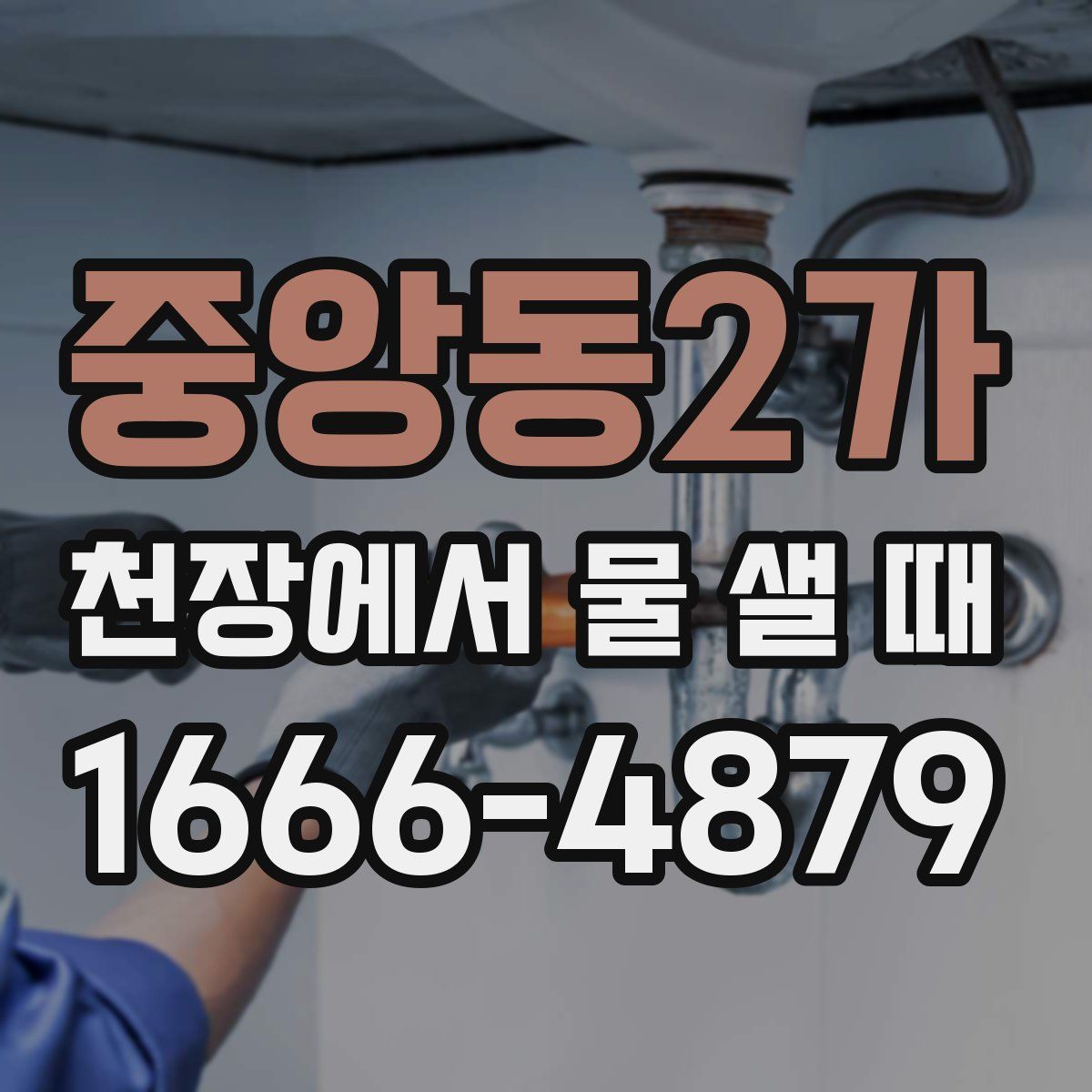 중앙동2가 천장에서 물 샐 때