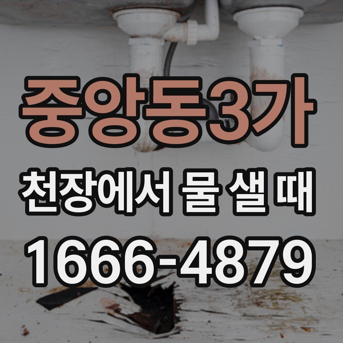 중앙동3가 천장에서 물 샐 때