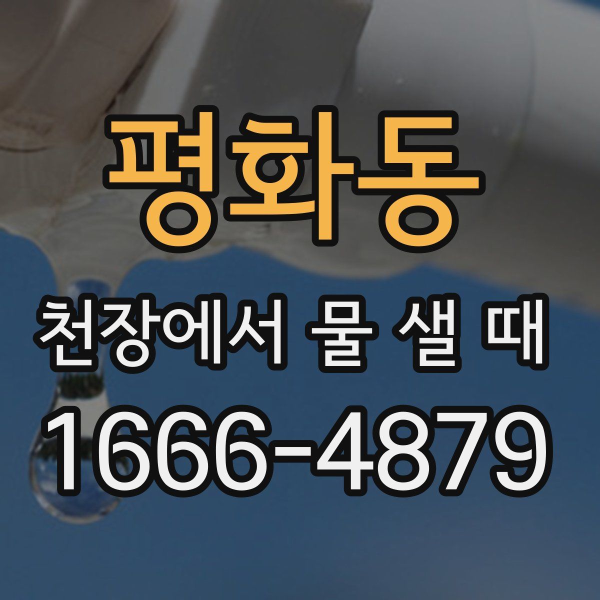 평화동 천장에서 물 샐 때