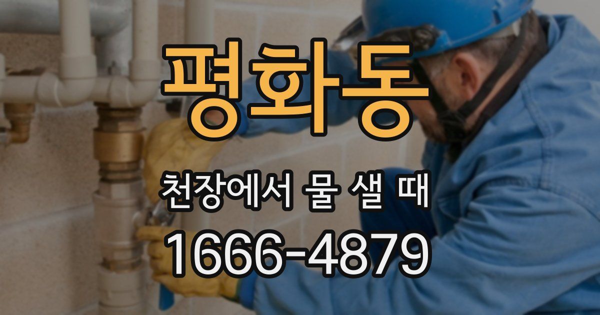평화동 천장에서 물 샐 때