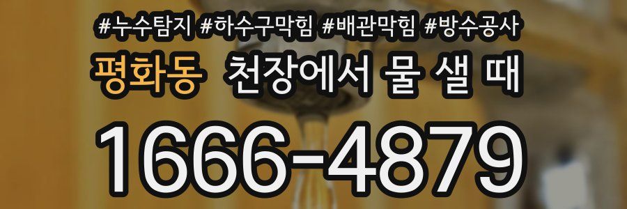 평화동 천장에서 물 샐 때