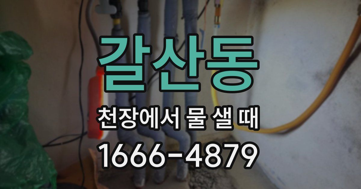 갈산동 천장에서 물 샐 때