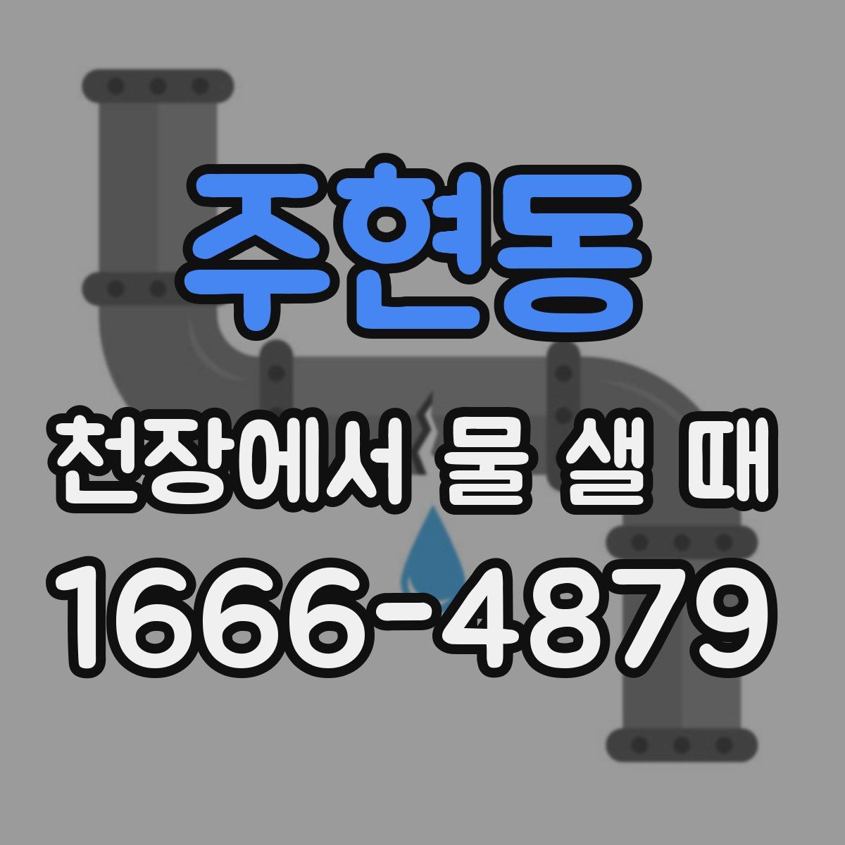 주현동 천장에서 물 샐 때