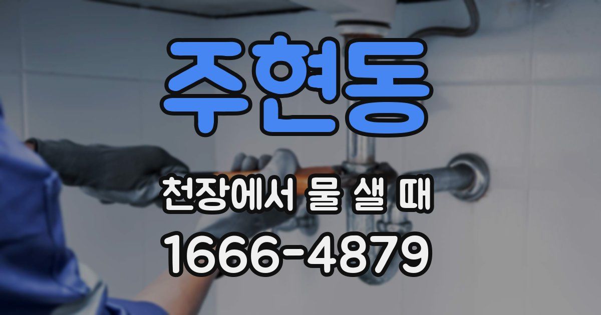 주현동 천장에서 물 샐 때