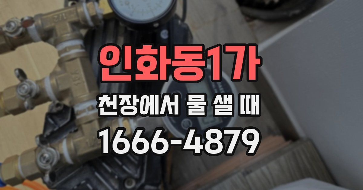 인화동1가 천장에서 물 샐 때