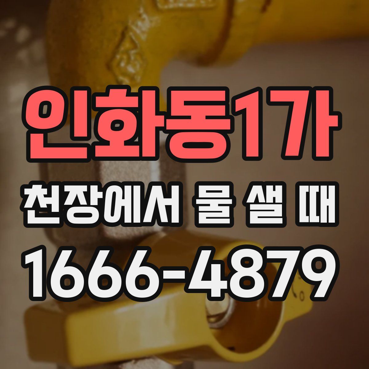 인화동1가 천장에서 물 샐 때