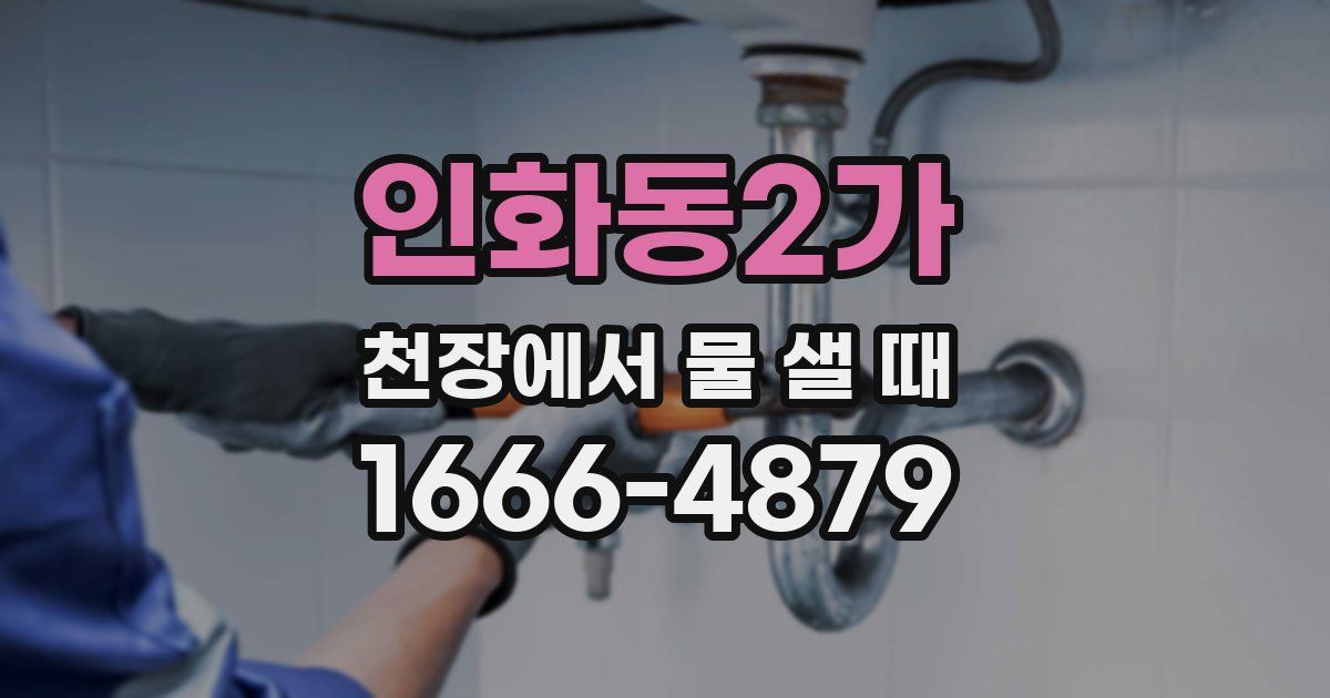 인화동2가 천장에서 물 샐 때