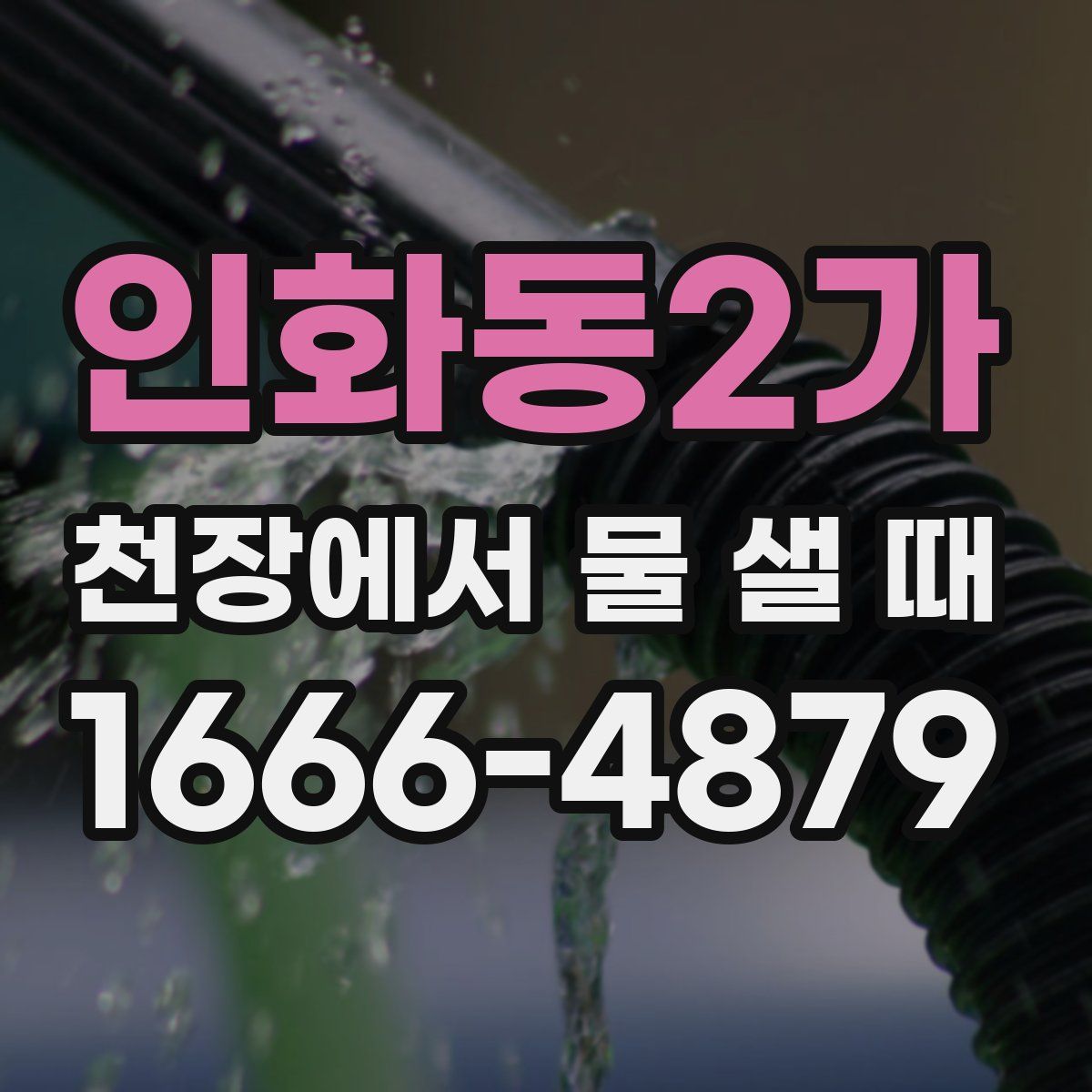 인화동2가 천장에서 물 샐 때