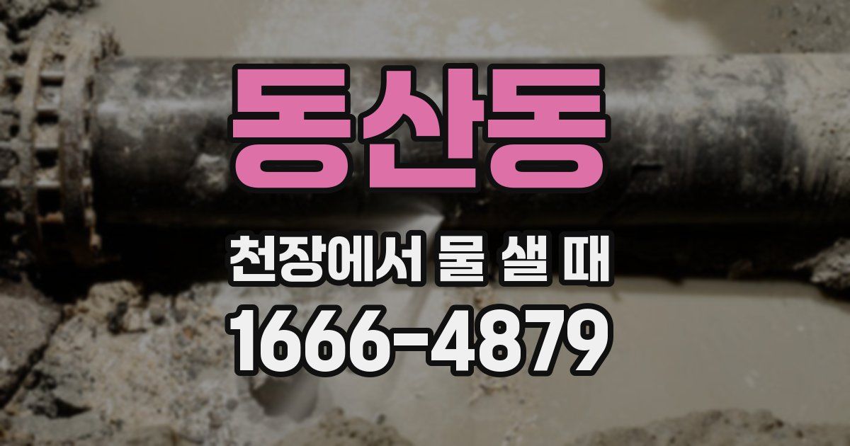 동산동 천장에서 물 샐 때