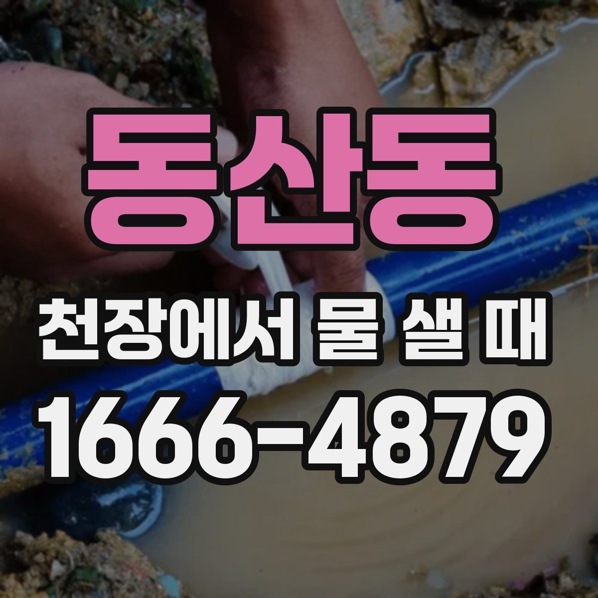 동산동 천장에서 물 샐 때