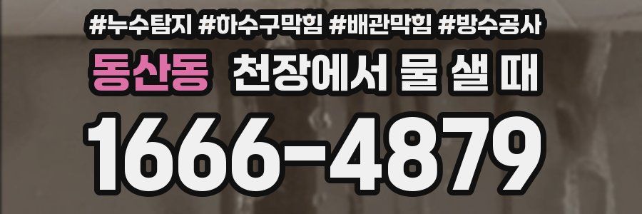 동산동 천장에서 물 샐 때