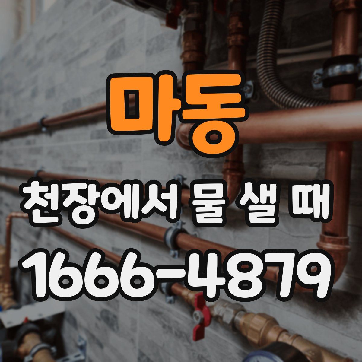 마동 천장에서 물 샐 때