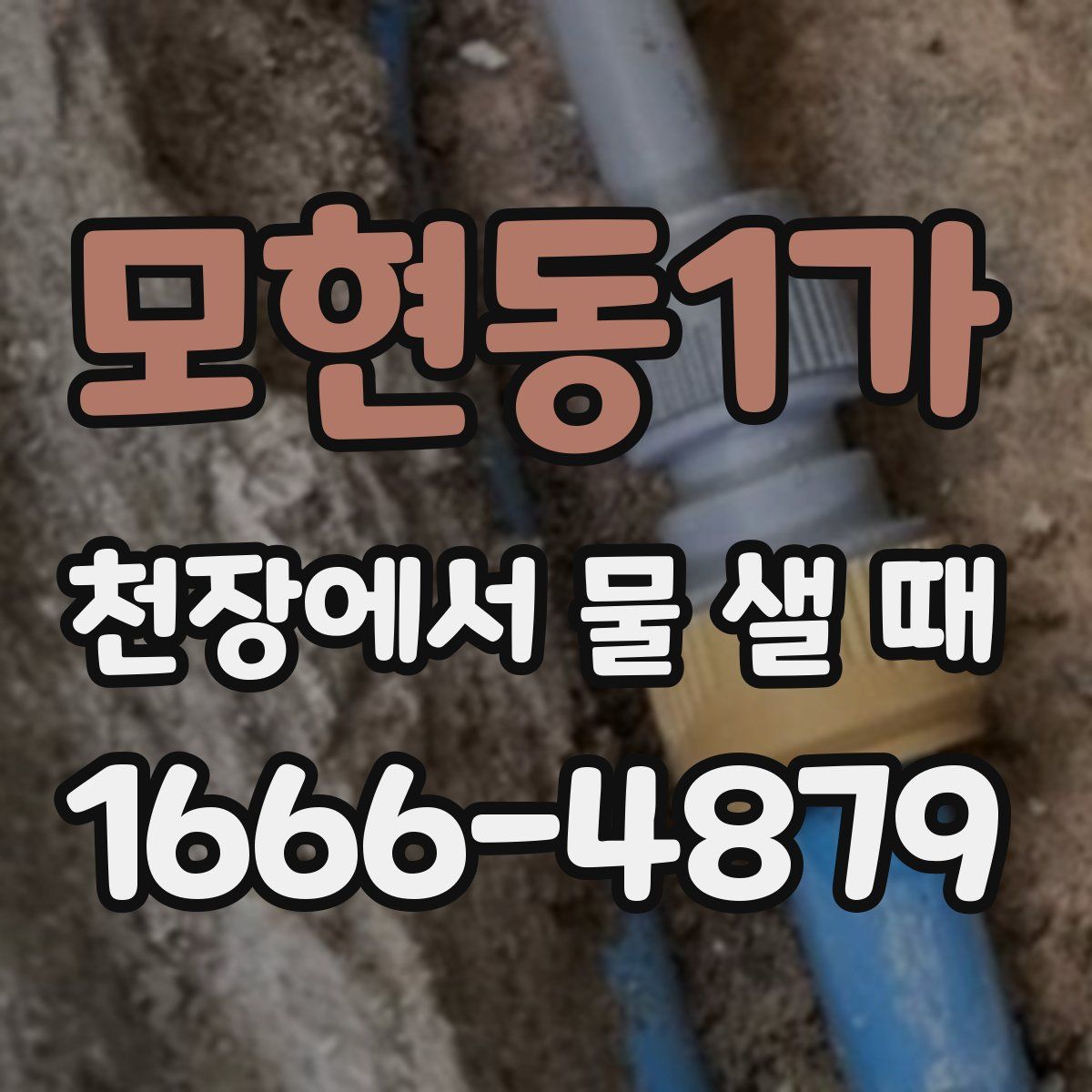 모현동1가 천장에서 물 샐 때
