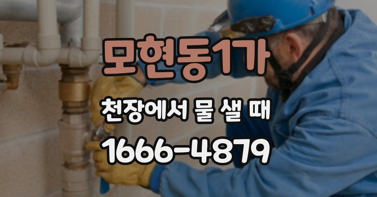 모현동1가 천장에서 물 샐 때