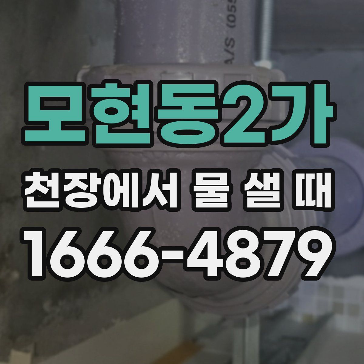 모현동2가 천장에서 물 샐 때