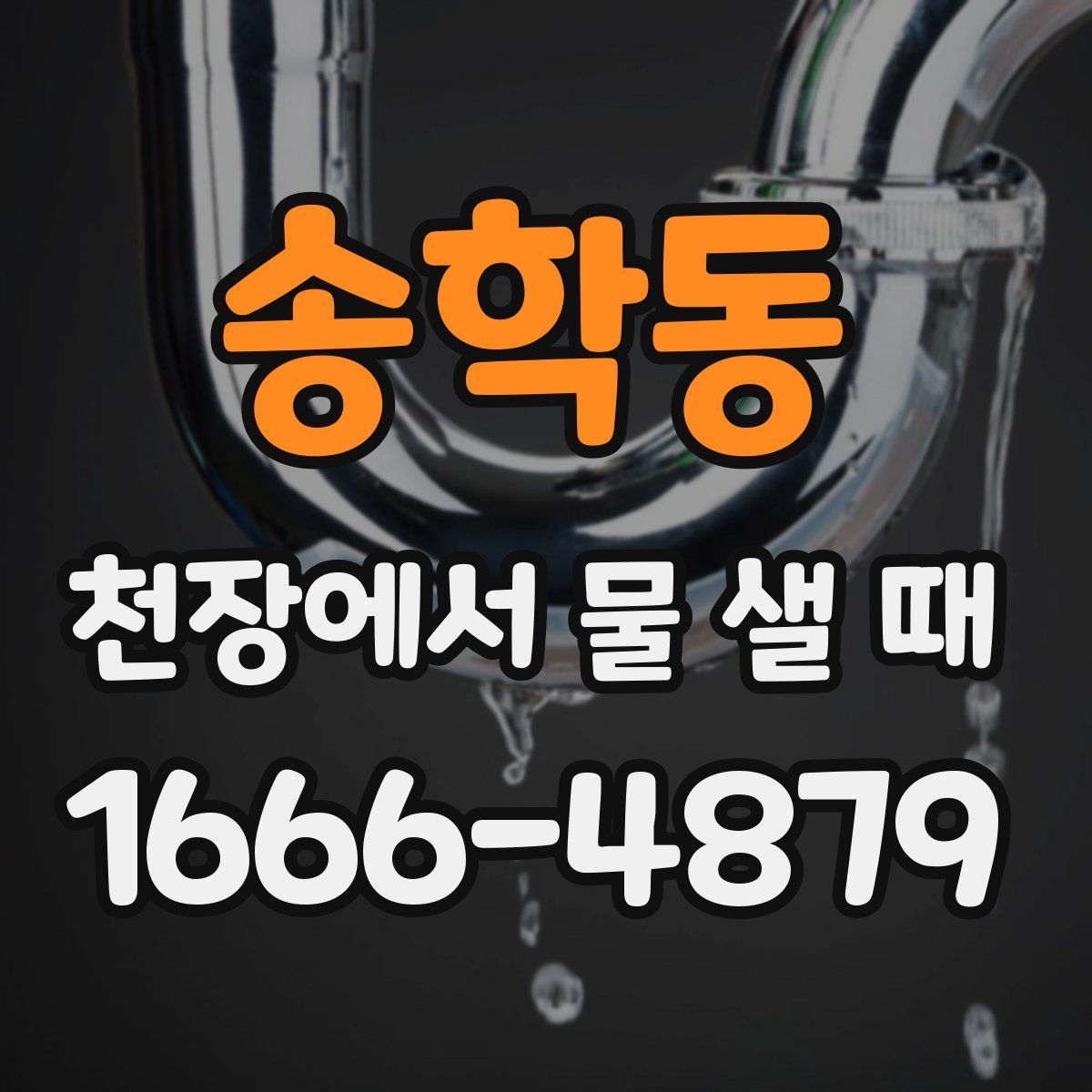 송학동 천장에서 물 샐 때