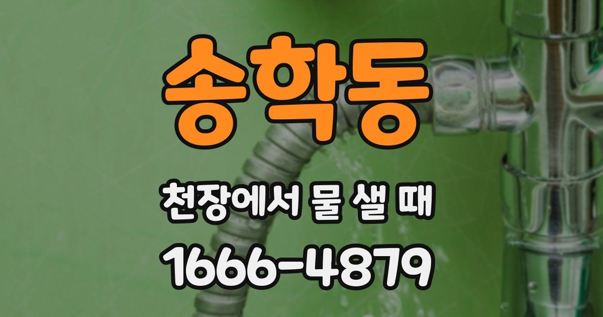 송학동 천장에서 물 샐 때