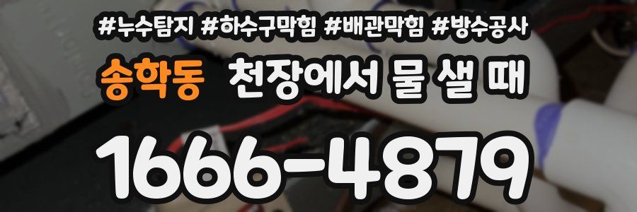 송학동 천장에서 물 샐 때