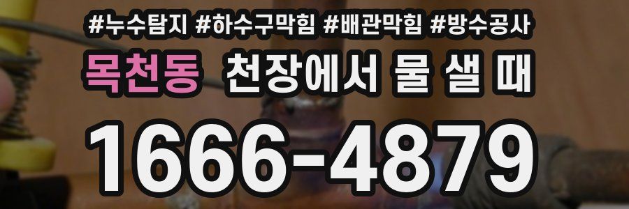 목천동 천장에서 물 샐 때