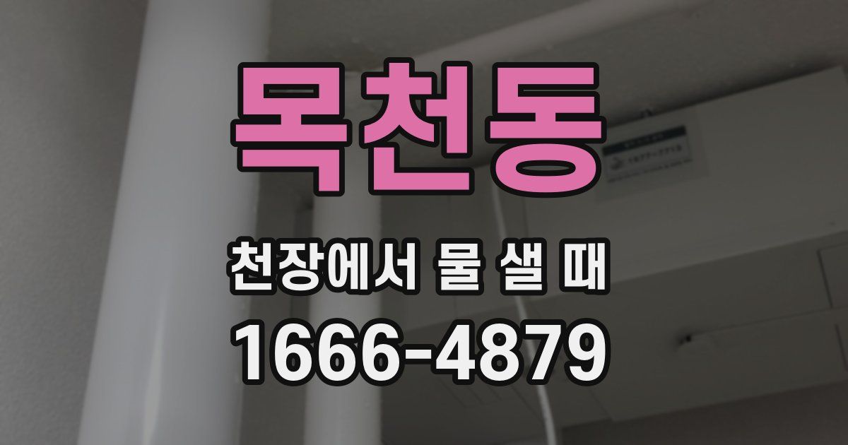 목천동 천장에서 물 샐 때